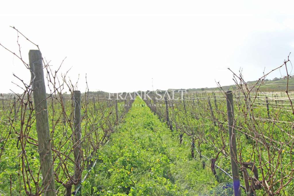 Commercial Property, For Sale