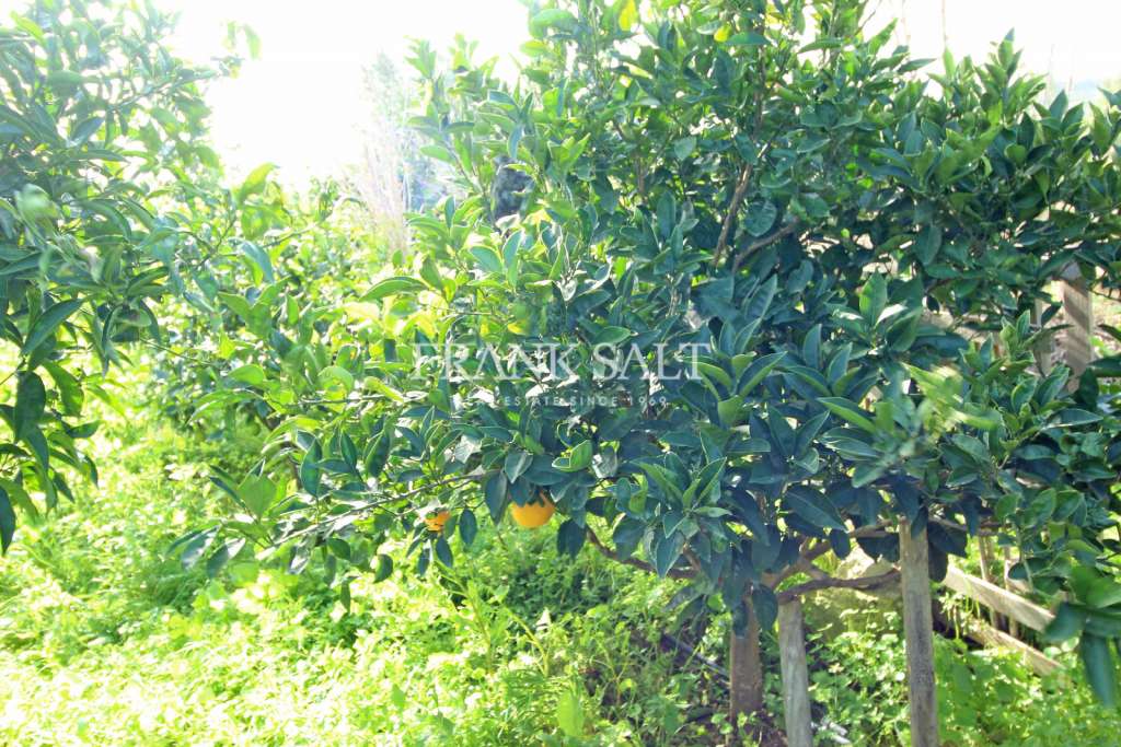 Commercial Property, For Sale