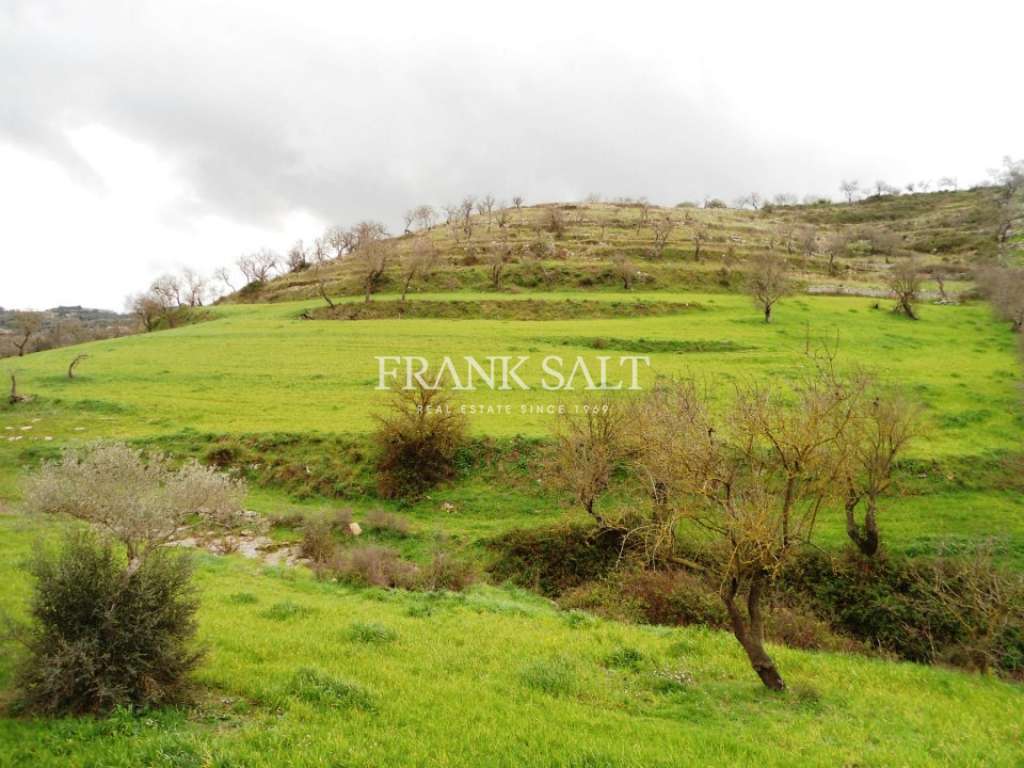 Commercial Property, For Sale