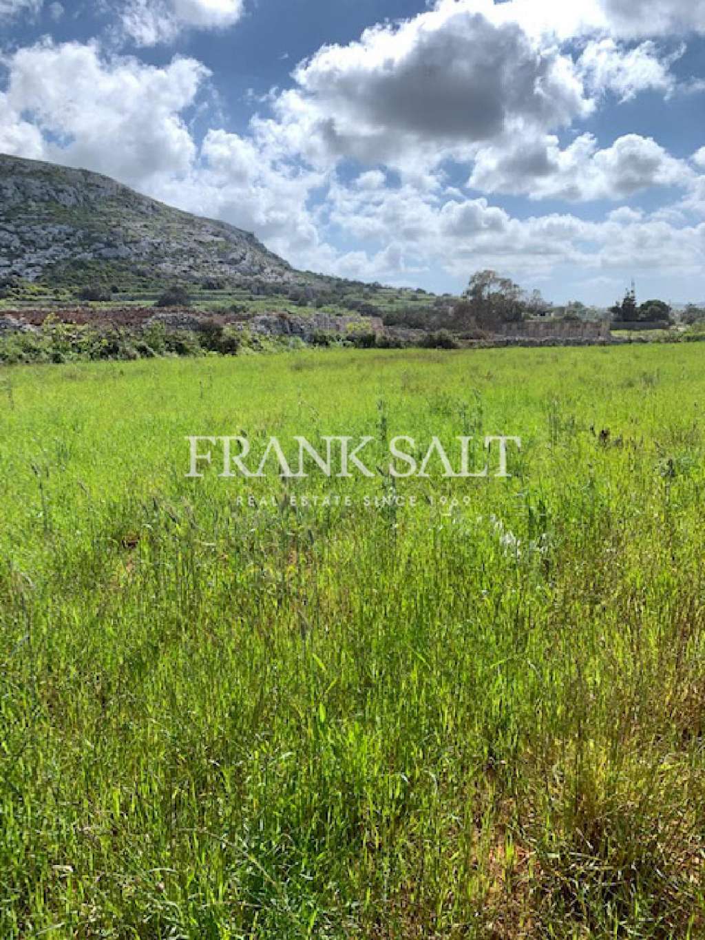 Commercial Property, For Sale