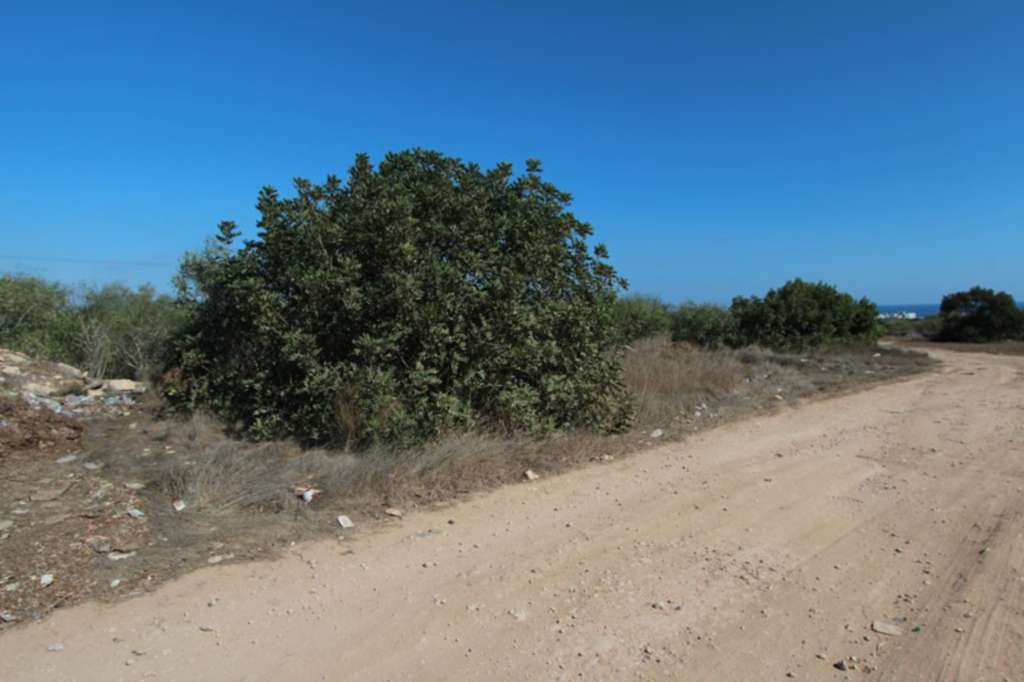 Land, For Sale