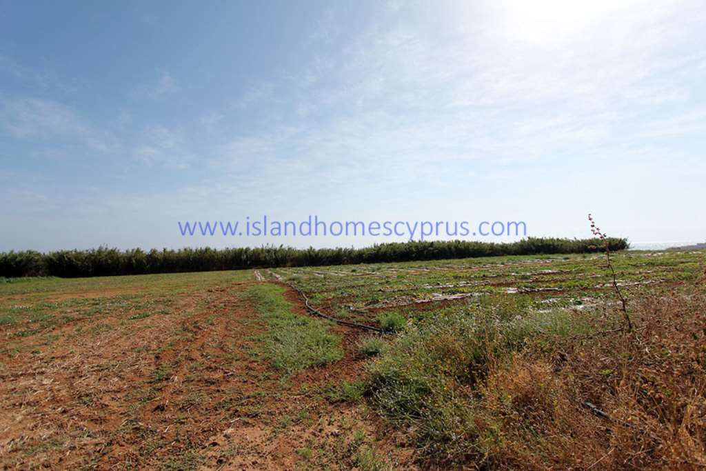 Land, For Sale