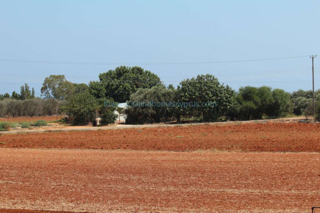 5 Bed, HouseFor Sale, Ayia Thekla, Famagusta