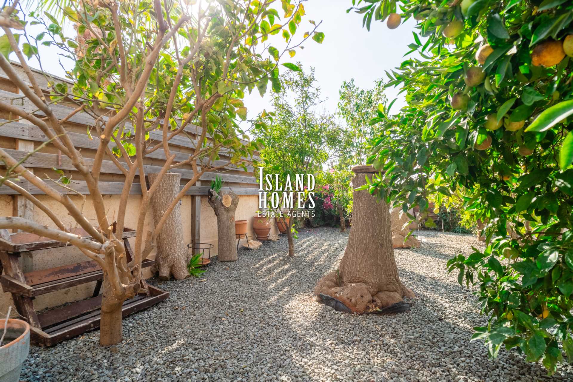 3 Bed, HouseFor Sale, Frenaros, Famagusta