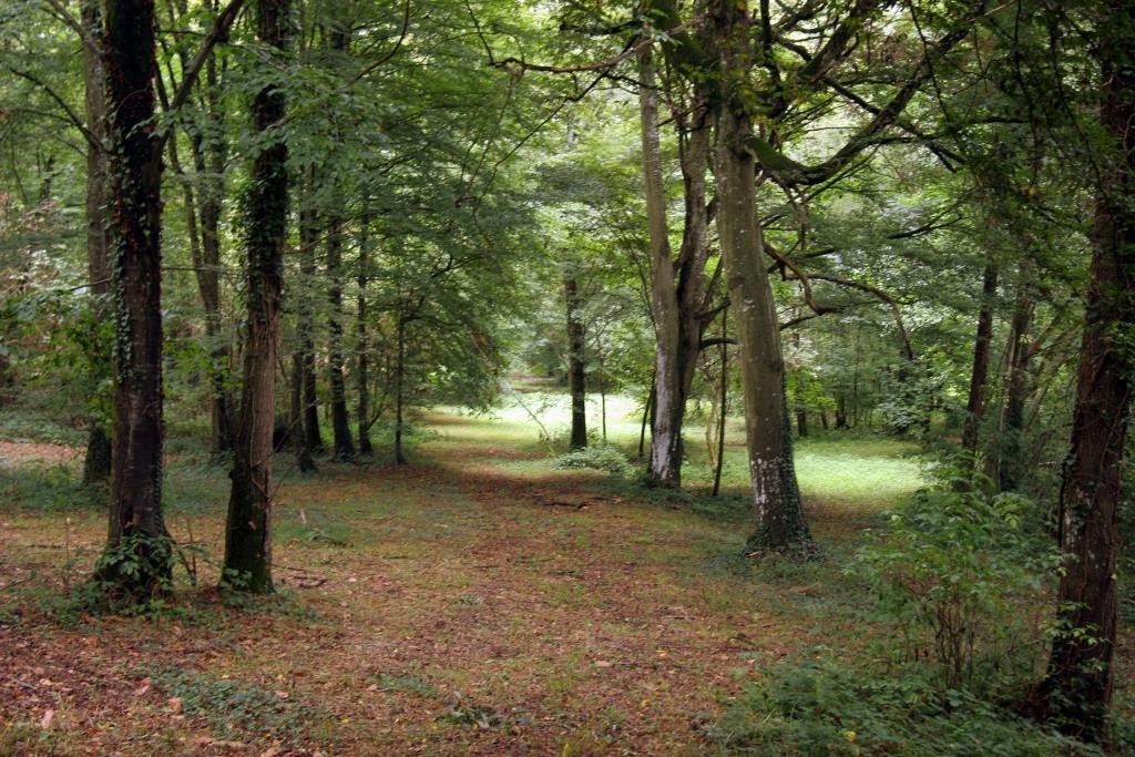 7 Bed, HouseFor Sale, Château-Gontier, Château-Gontier