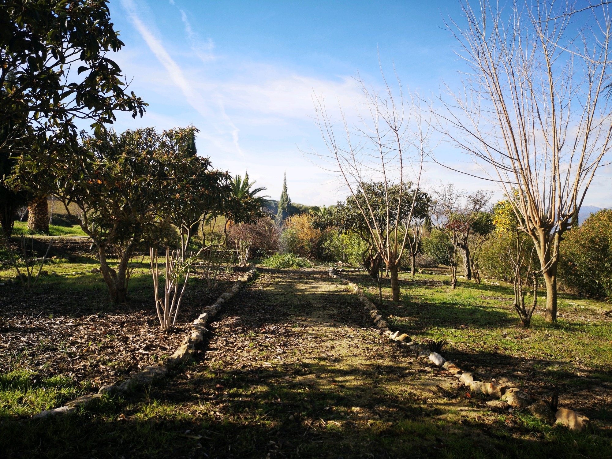 6 Bed, 2 Bath, HouseFor Sale, Ronda, Malaga, 29400 6 Bed, 2 Bath, HouseFor Sale, Ronda, Malaga, 29400