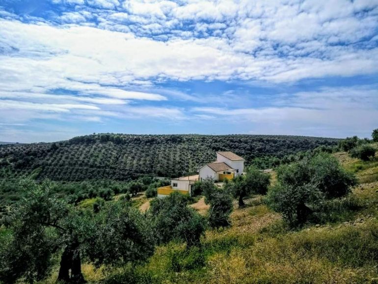 6 Bed, 3 Bath, HouseFor Sale, Montoro, Córdoba, 14600 6 Bed, 3 Bath, HouseFor Sale, Montoro, Córdoba, 14600