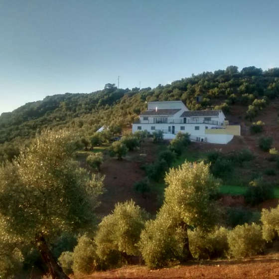 6 Bed, 3 Bath, HouseFor Sale, Montoro, Córdoba, 14600 6 Bed, 3 Bath, HouseFor Sale, Montoro, Córdoba, 14600