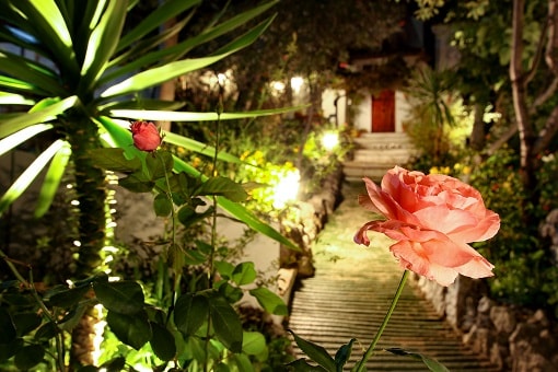 Commercial Property, For Sale