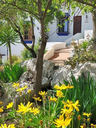 Commercial Property, For Sale