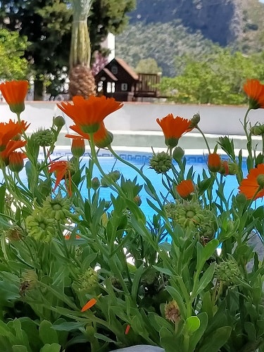 Commercial Property, For Sale