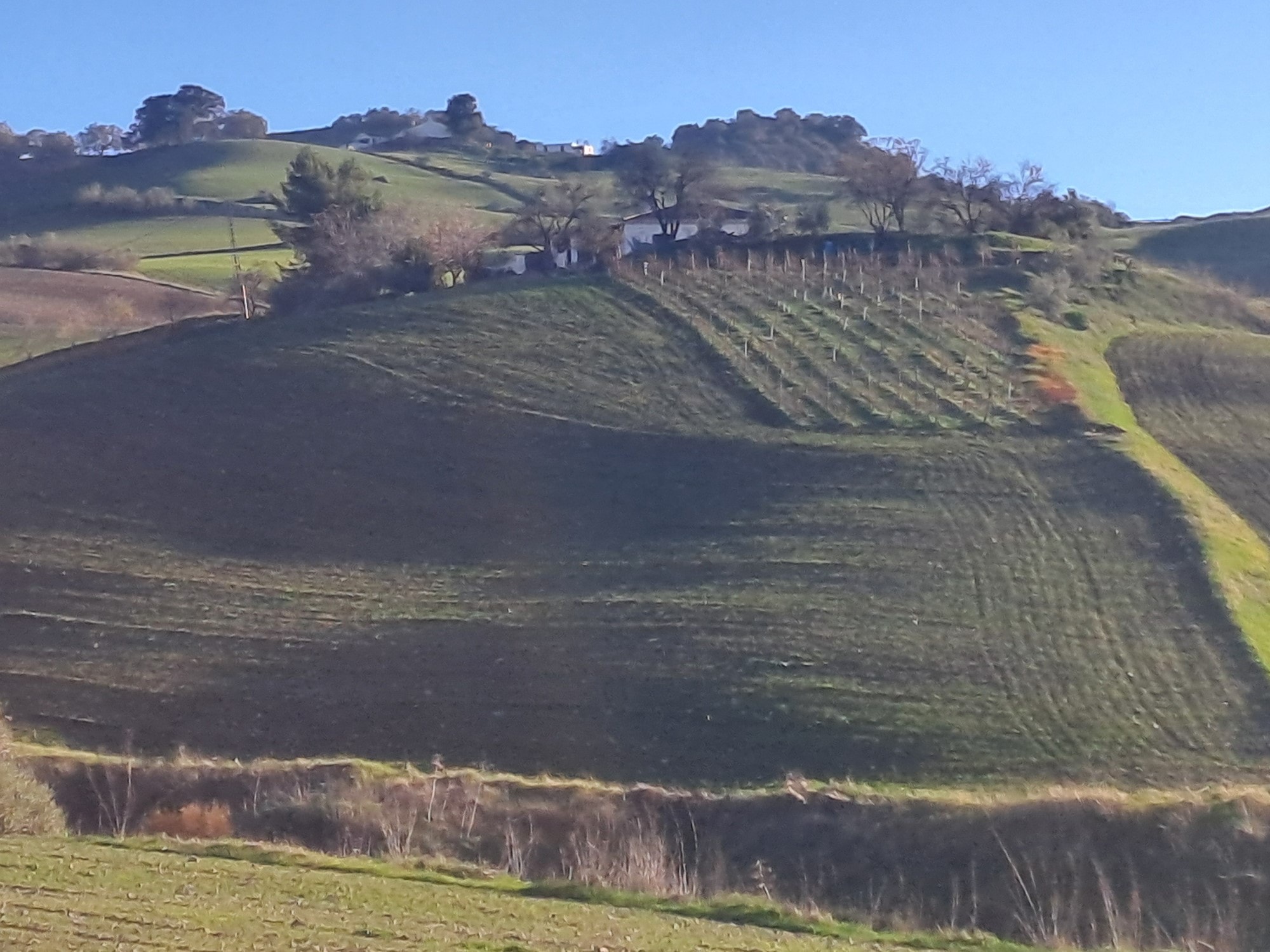 4 Bed, 2 Bath, HouseFor Sale, Montecorto, Malaga, 29430