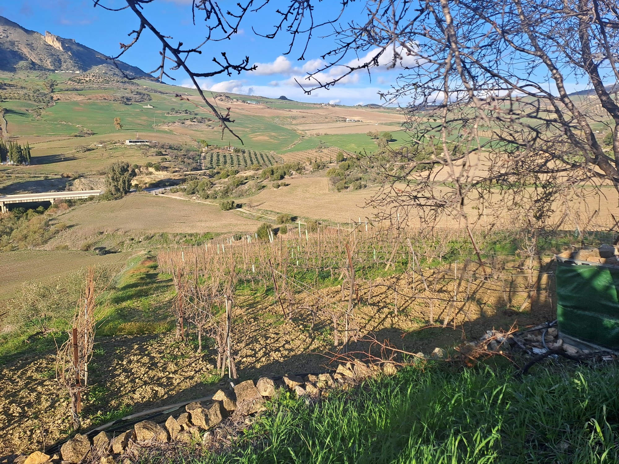 4 Bed, 2 Bath, HouseFor Sale, Montecorto, Malaga, 29430