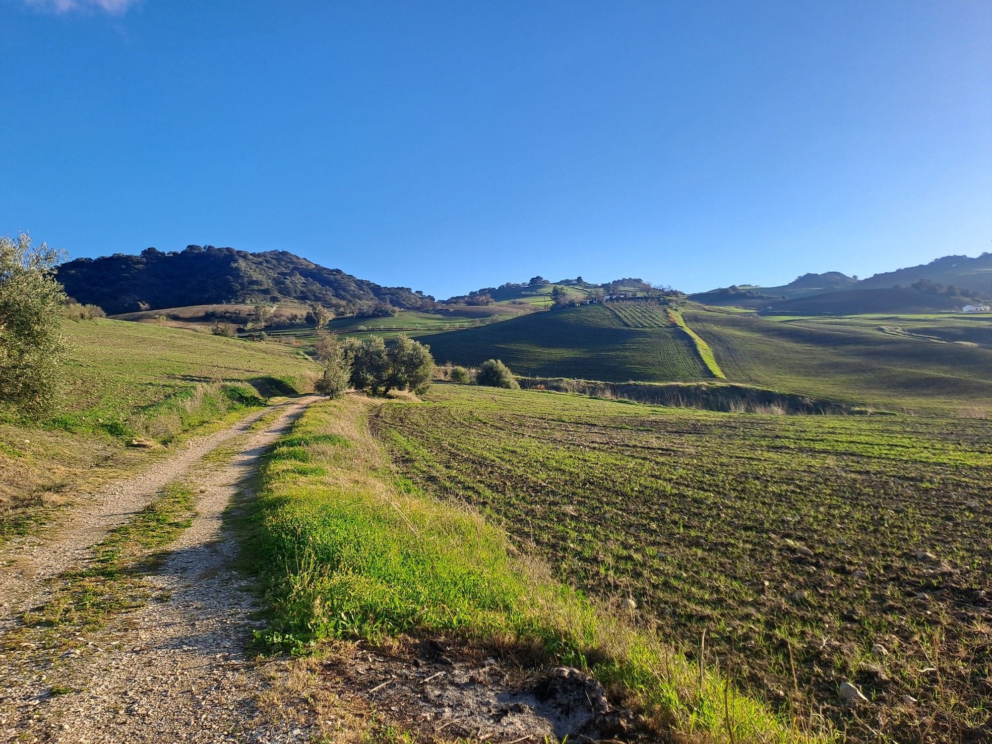 4 Bed, 2 Bath, HouseFor Sale, Montecorto, Malaga, 29430