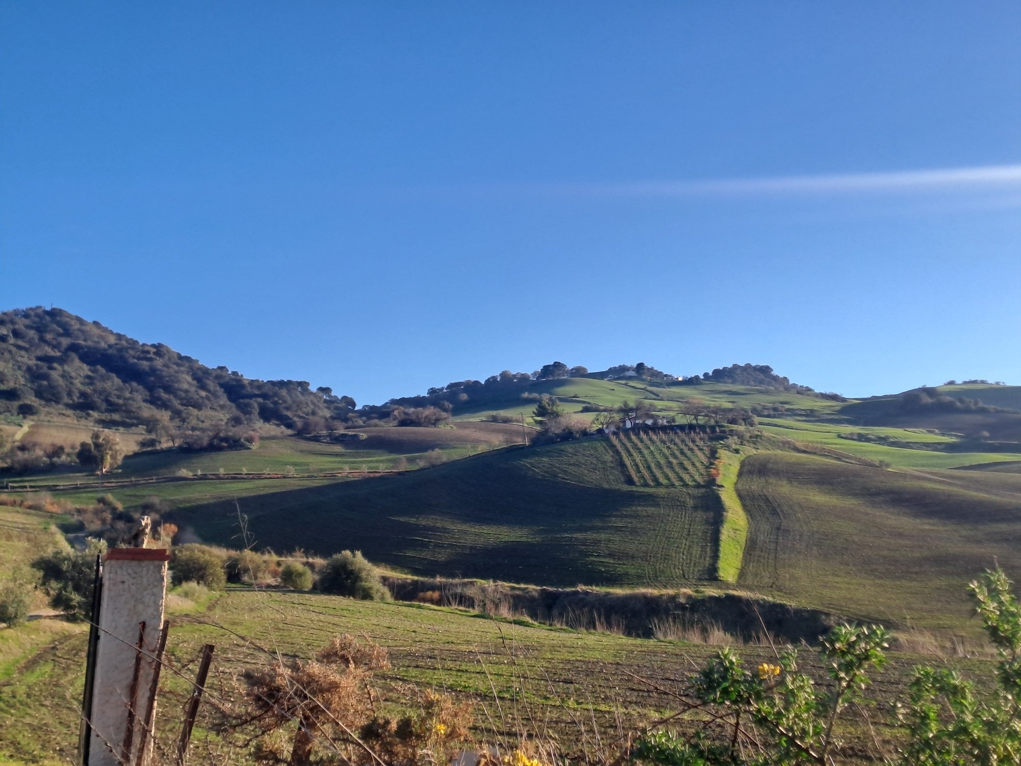 4 Bed, 2 Bath, HouseFor Sale, Montecorto, Malaga, 29430