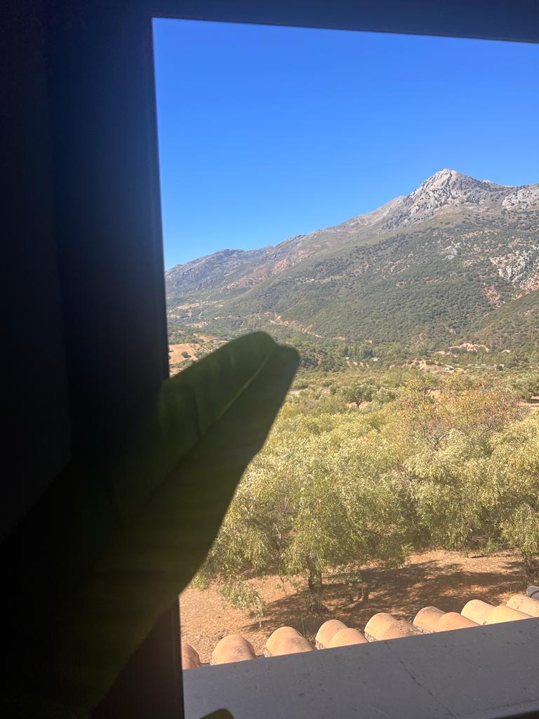 2 Bed, 1 Bath, HouseFor Sale, Jimera de Libar, Malaga, 29392 2 Bed, 1 Bath, HouseFor Sale, Jimera de Libar, Malaga, 29392