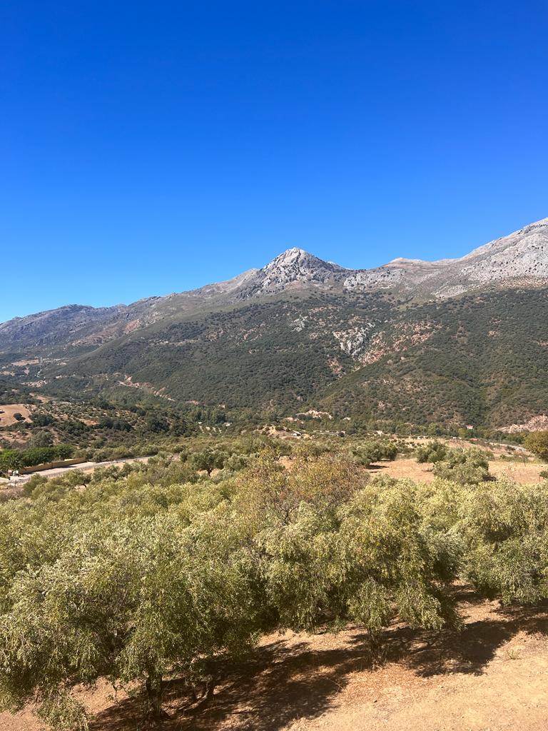 2 Bed, 1 Bath, HouseFor Sale, Jimera de Libar, Malaga, 29392 2 Bed, 1 Bath, HouseFor Sale, Jimera de Libar, Malaga, 29392