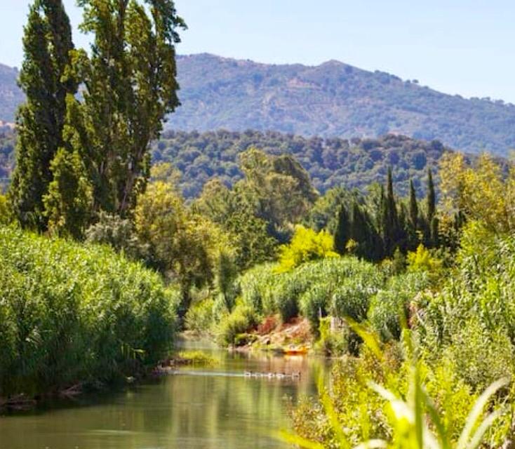 2 Bed, 2 Bath, HouseFor Sale, Cortes de La Frontera, Malaga, 29380 2 Bed, 2 Bath, HouseFor Sale, Cortes de La Frontera, Malaga, 29380