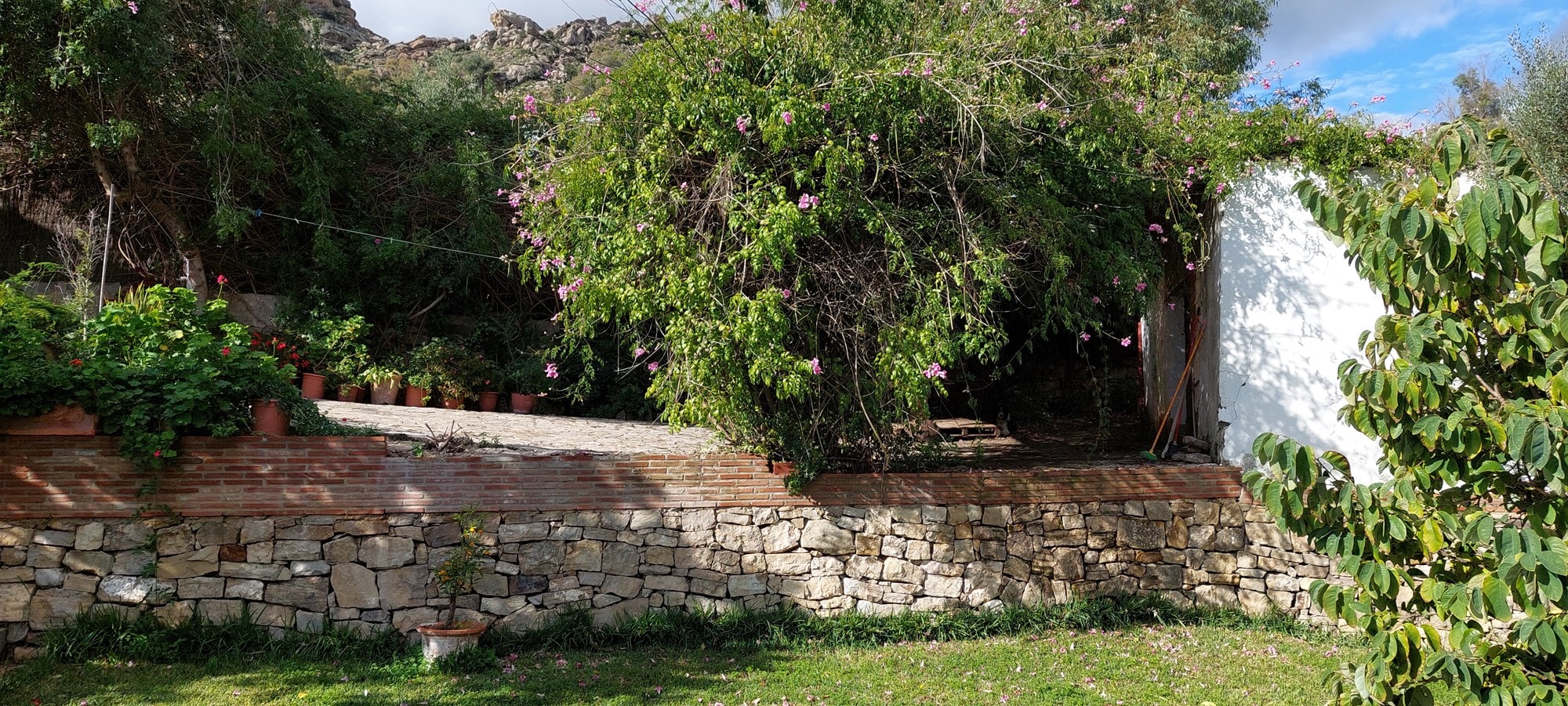 3 Bed, 2 Bath, HouseFor Sale, Jimena de la Frontera, Cadiz, 11330