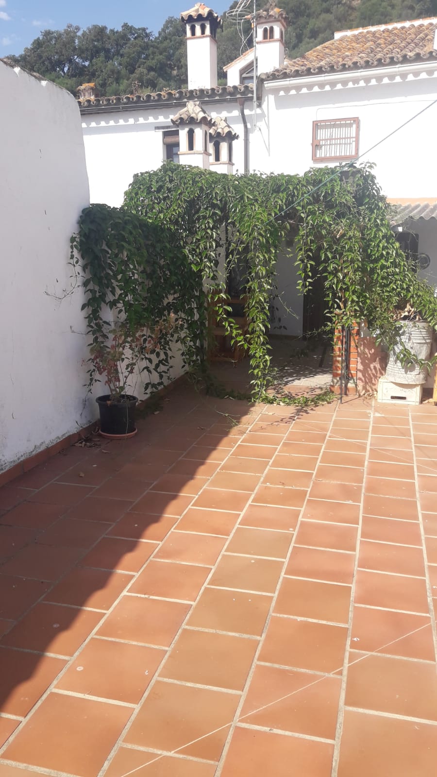 4 Bed, 1 Bath, HouseFor Sale, Jimena de la Frontera, Cadiz, 11330 4 Bed, 1 Bath, HouseFor Sale, Jimena de la Frontera, Cadiz, 11330