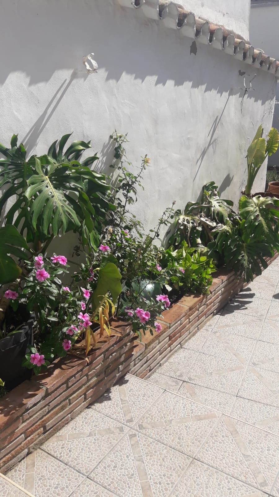 4 Bed, 1 Bath, HouseFor Sale, Jimena de la Frontera, Cadiz, 11330 4 Bed, 1 Bath, HouseFor Sale, Jimena de la Frontera, Cadiz, 11330