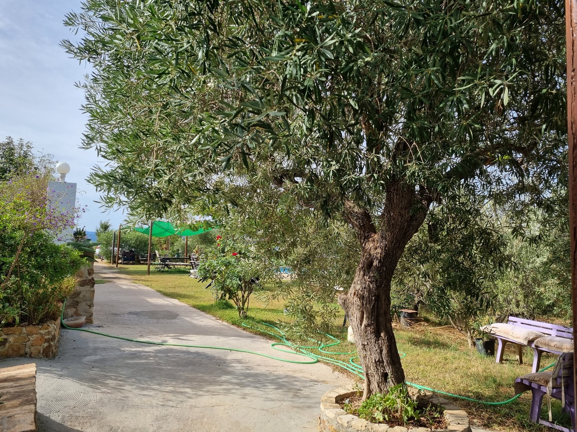 Commercial Property, For Sale Commercial Property, For Sale