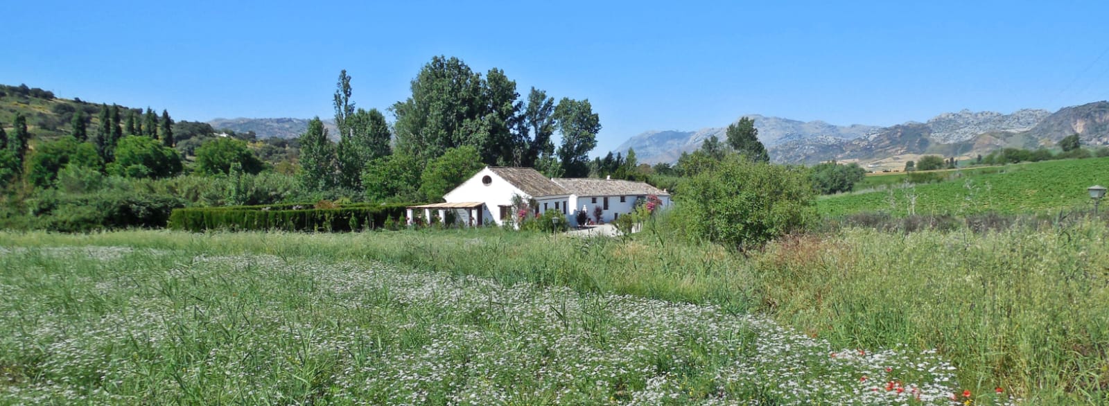 8 Bed, 6 Bath, HouseFor Sale, Ronda, Malaga, 29400 8 Bed, 6 Bath, HouseFor Sale, Ronda, Malaga, 29400