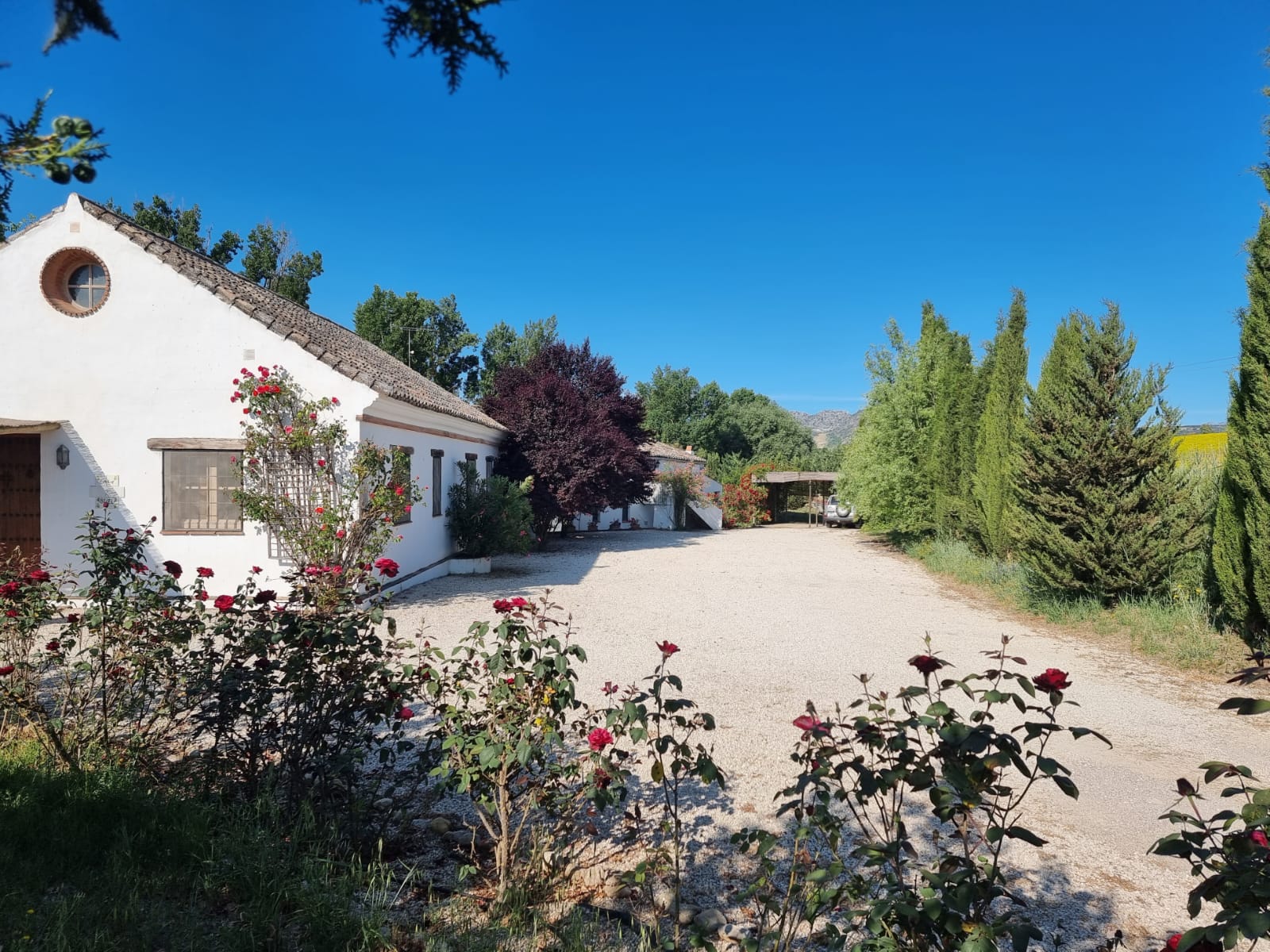 8 Bed, 6 Bath, HouseFor Sale, Ronda, Malaga, 29400 8 Bed, 6 Bath, HouseFor Sale, Ronda, Malaga, 29400