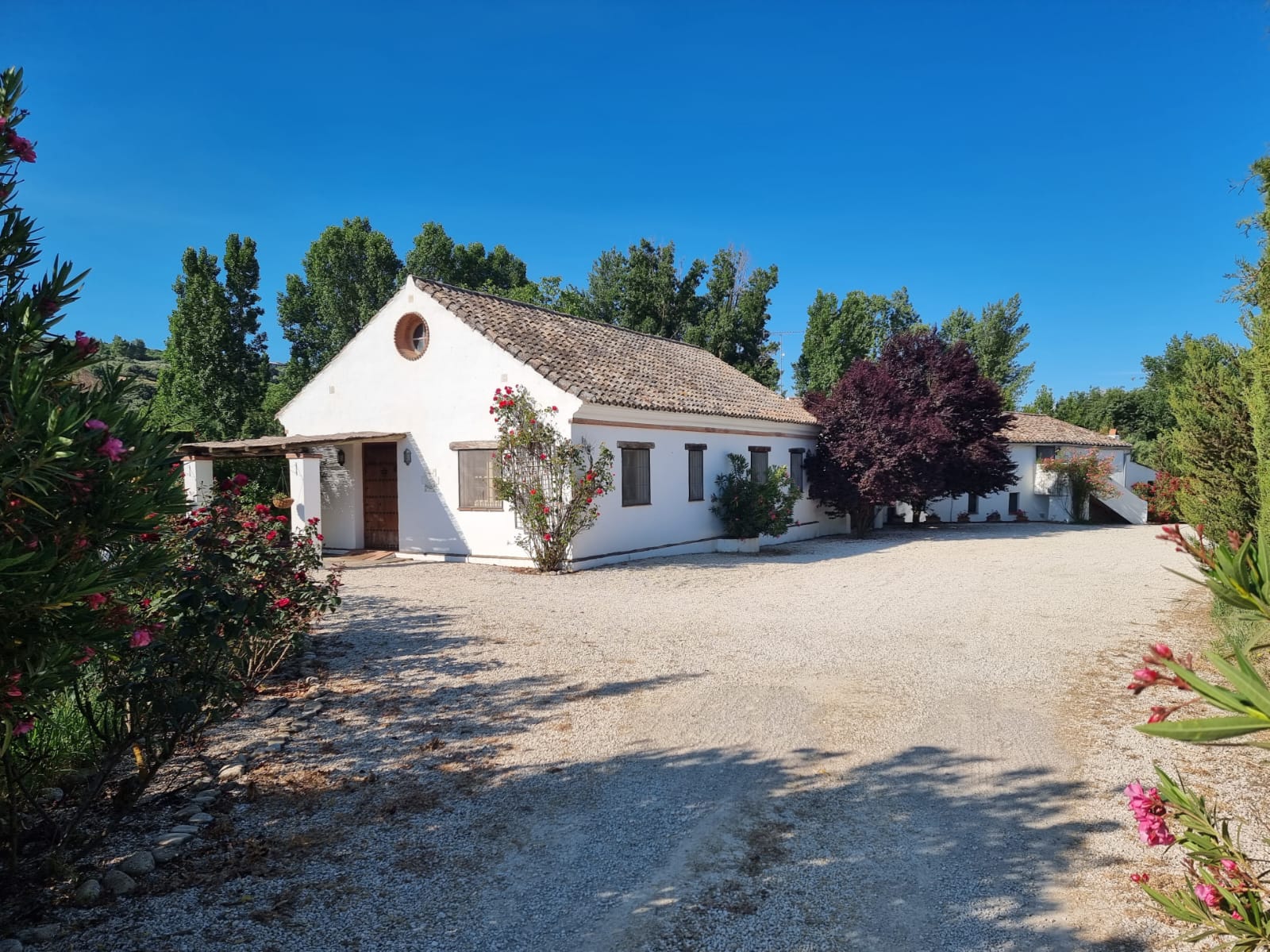 8 Bed, 6 Bath, HouseFor Sale, Ronda, Malaga, 29400 8 Bed, 6 Bath, HouseFor Sale, Ronda, Malaga, 29400