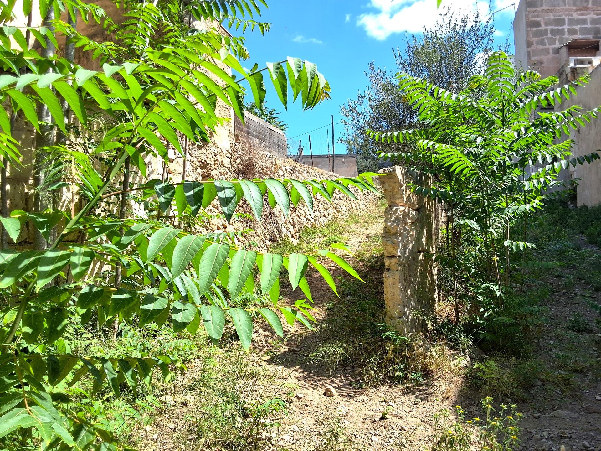 Land, For Sale Land, For Sale