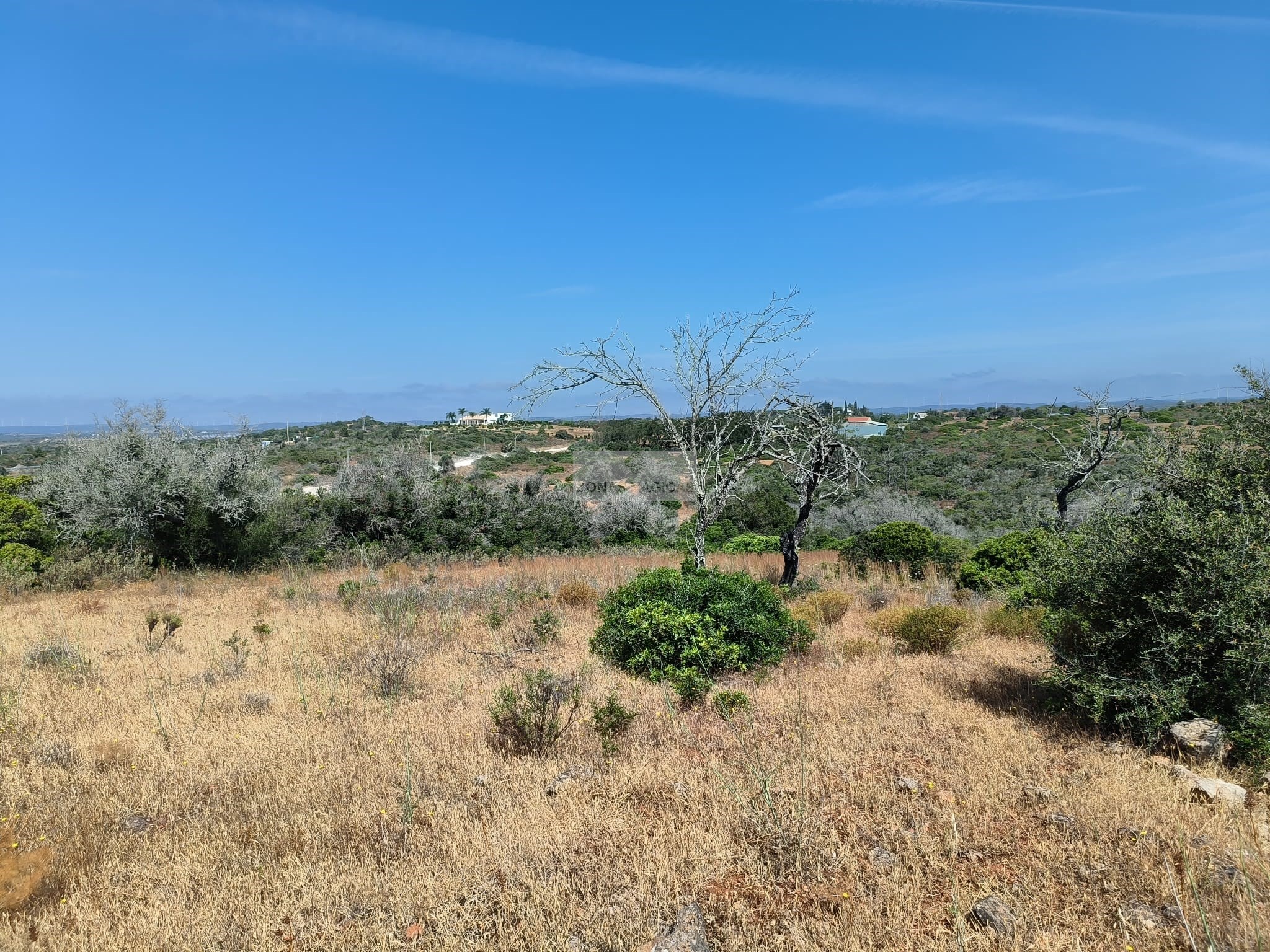 Land, For Sale