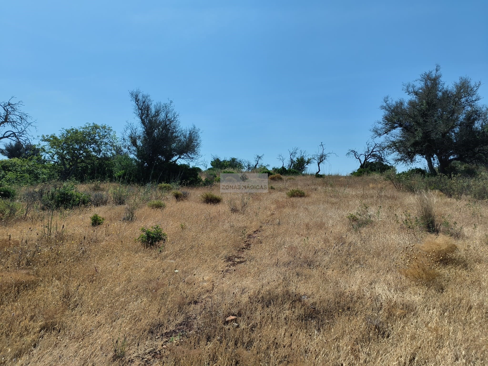 Land, For Sale