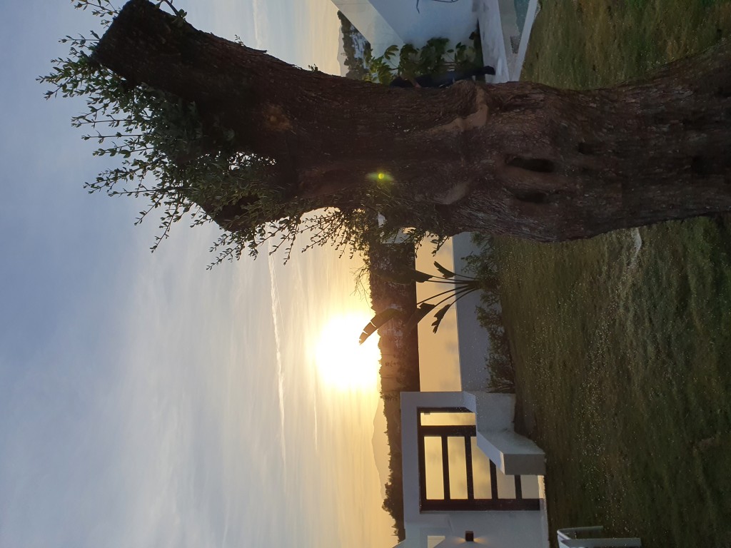 3 Bed, 3 Bath, HouseFor Sale, Marbella, Malaga 3 Bed, 3 Bath, HouseFor Sale, Marbella, Malaga