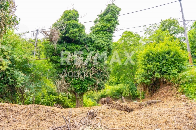 HouseFor Sale, Tsagkarada, Mouresi, Magnesia