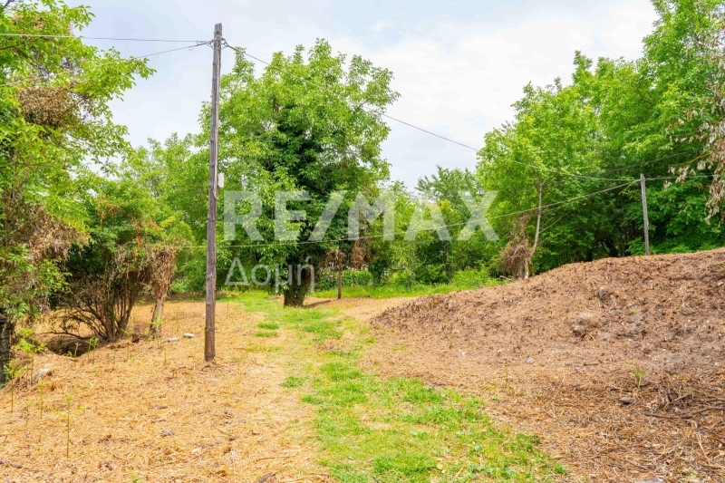 HouseFor Sale, Tsagkarada, Mouresi, Magnesia