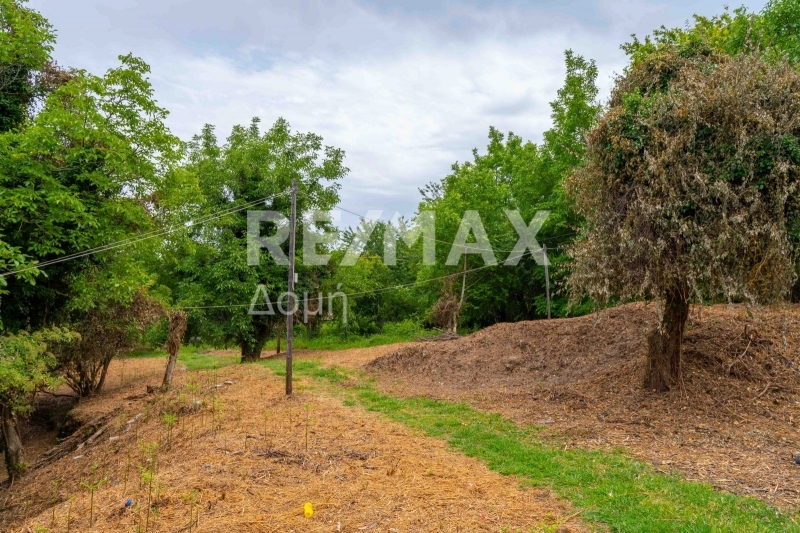 HouseFor Sale, Tsagkarada, Mouresi, Magnesia