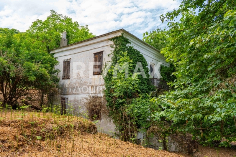 HouseFor Sale, Tsagkarada, Mouresi, Magnesia
