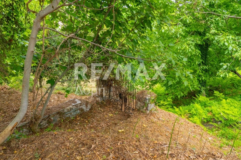 HouseFor Sale, Tsagkarada, Mouresi, Magnesia