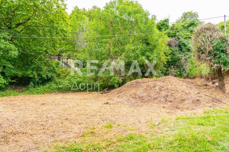 HouseFor Sale, Tsagkarada, Mouresi, Magnesia