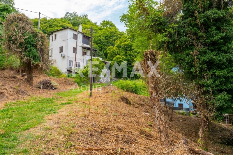 HouseFor Sale, Tsagkarada, Mouresi, Magnesia