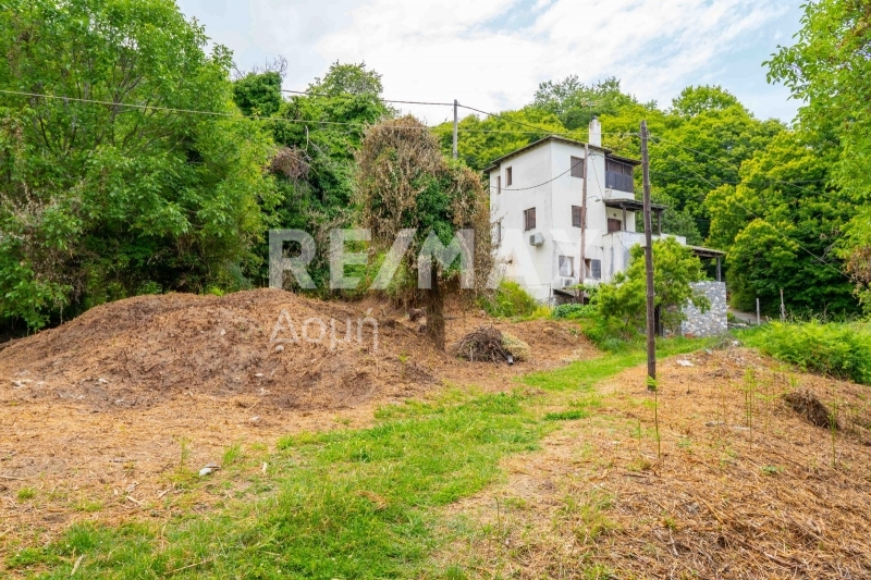 HouseFor Sale, Tsagkarada, Mouresi, Magnesia