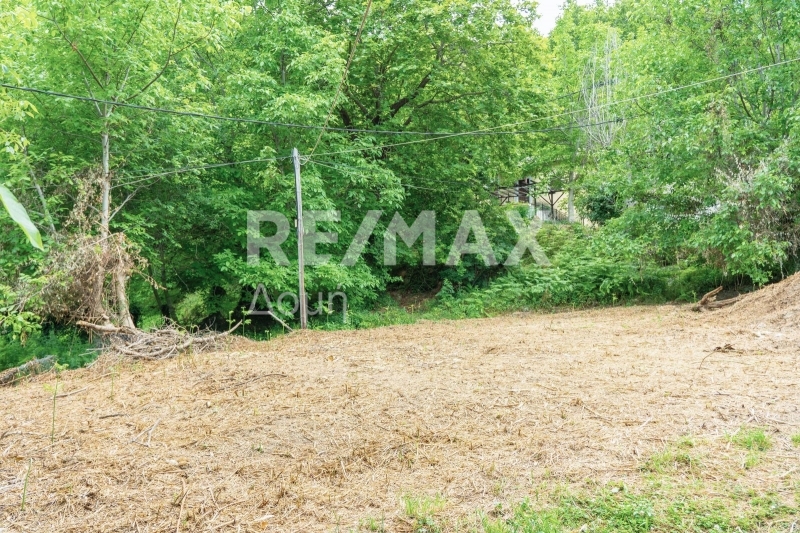 HouseFor Sale, Tsagkarada, Mouresi, Magnesia