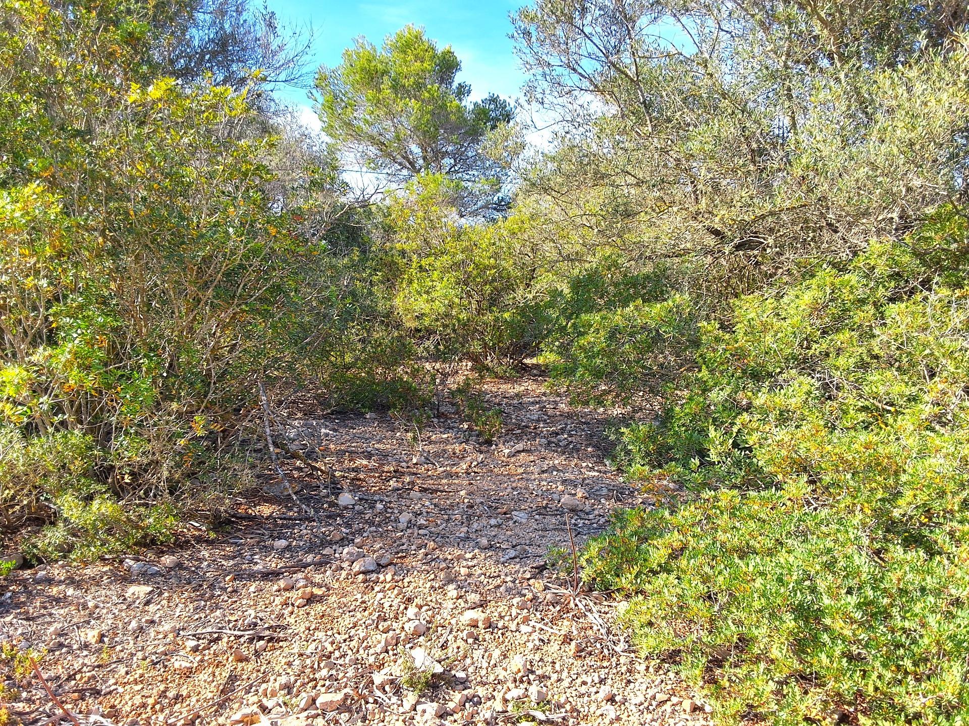 3 Bed, 1 Bath, HouseFor Sale, Sant Llorenc Des Cardassar, Baleares 3 Bed, 1 Bath, HouseFor Sale, Sant Llorenc Des Cardassar, Baleares