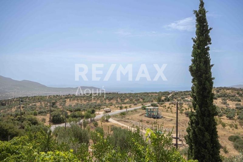 3 Bed, 2 Bath, HouseFor Sale, Melissatika, Nea Ionia Volou, Magnesia
