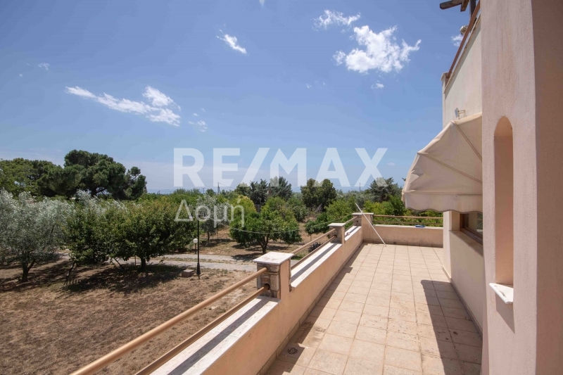 6 Bed, 2 Bath, HouseFor Sale, Kato Lechonia, Artemida, Magnesia