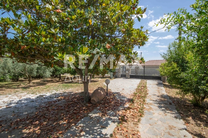 6 Bed, 2 Bath, HouseFor Sale, Kato Lechonia, Artemida, Magnesia