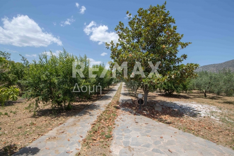 6 Bed, 2 Bath, HouseFor Sale, Kato Lechonia, Artemida, Magnesia