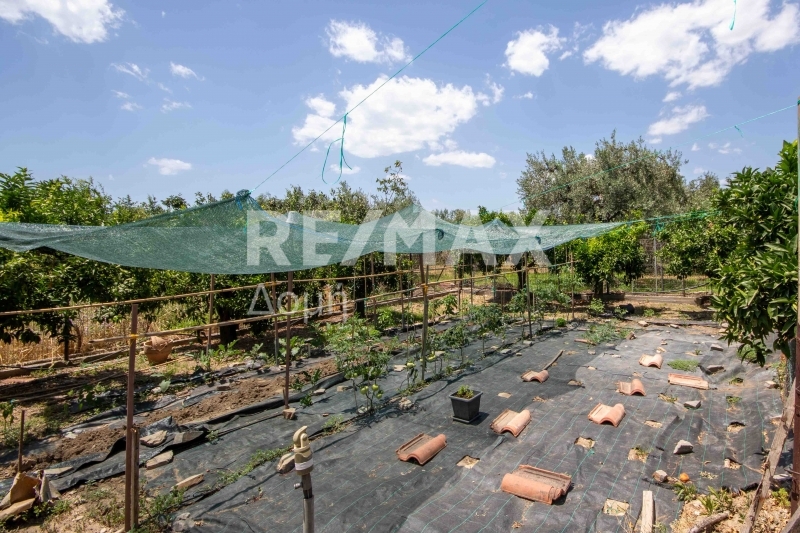 6 Bed, 2 Bath, HouseFor Sale, Kato Lechonia, Artemida, Magnesia