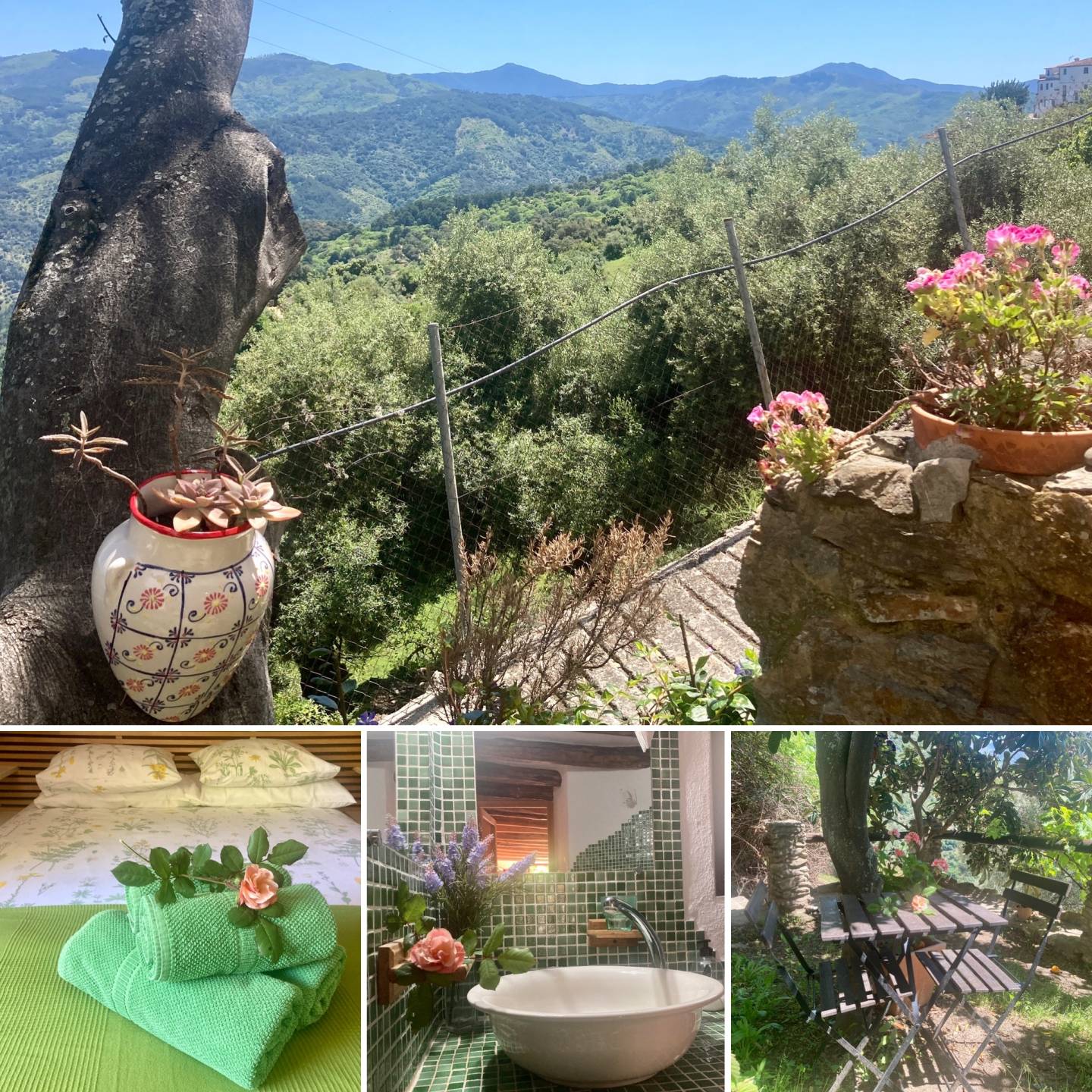 Commercial Property, For Sale