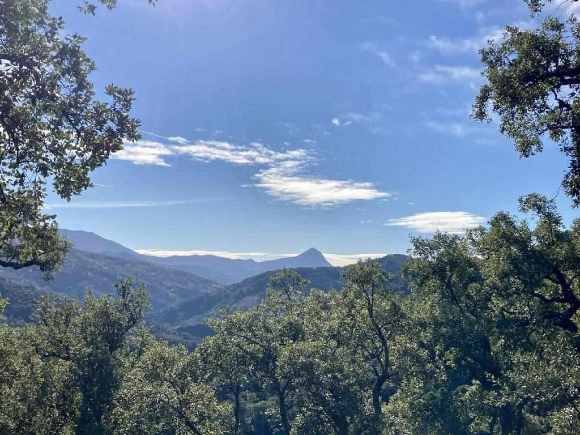 Commercial Property, For Sale